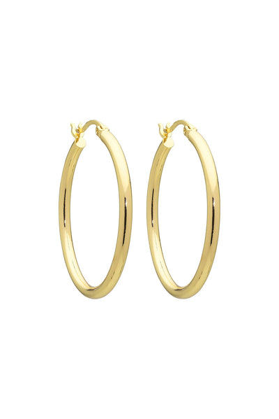 Erika Gold Hoop Earrings