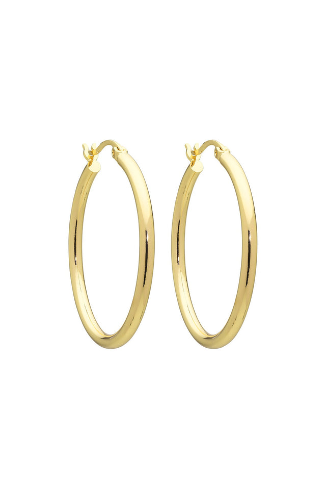 Erika Gold Hoop Earrings image 1